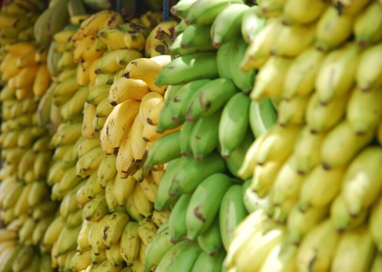 banana varde sau coapta