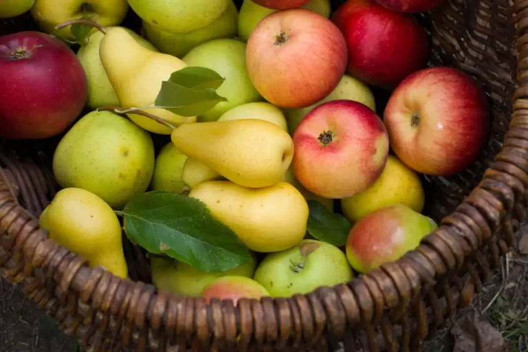 fructe cu coaja sau fara