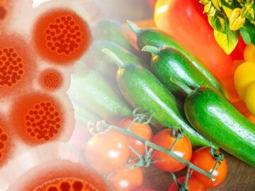 alimente care intaresc sistemul imunitar