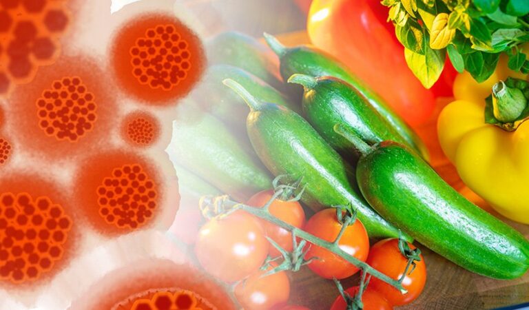 Imunitate scăzută? Iată 10 alimente care ajută sistemul imunitar