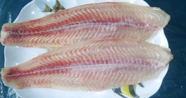 pangasius toxic
