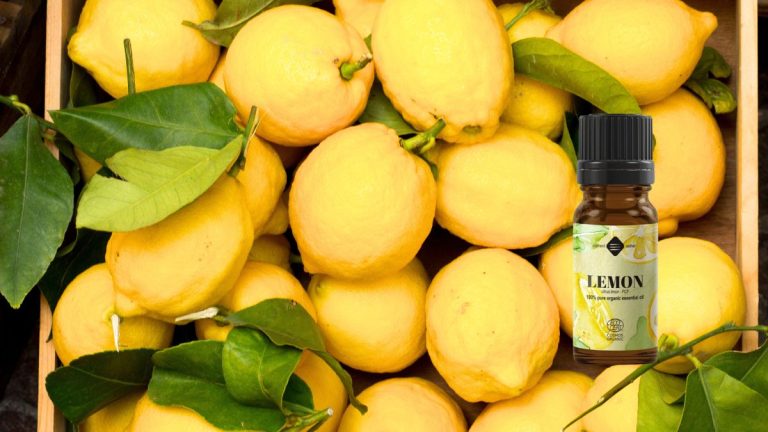 lemon-fcf
